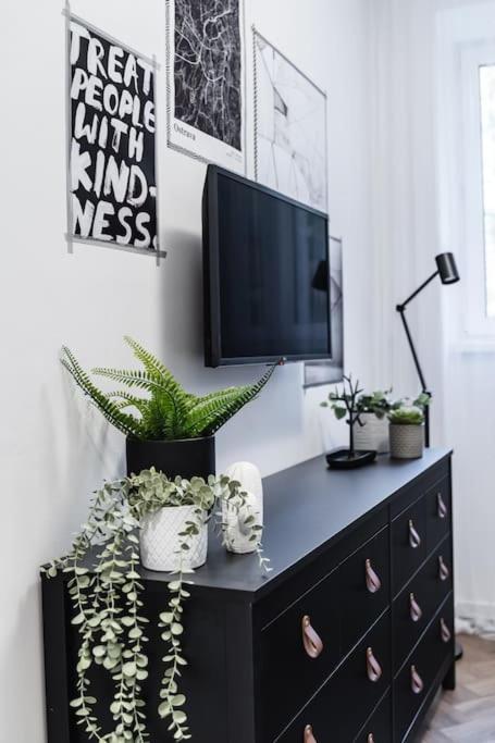 Myslbekova 5 Apartment Ostrava Luaran gambar