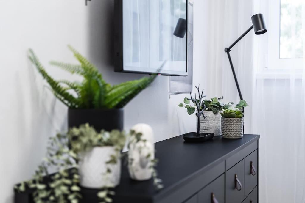 Myslbekova 5 Apartment Ostrava Luaran gambar